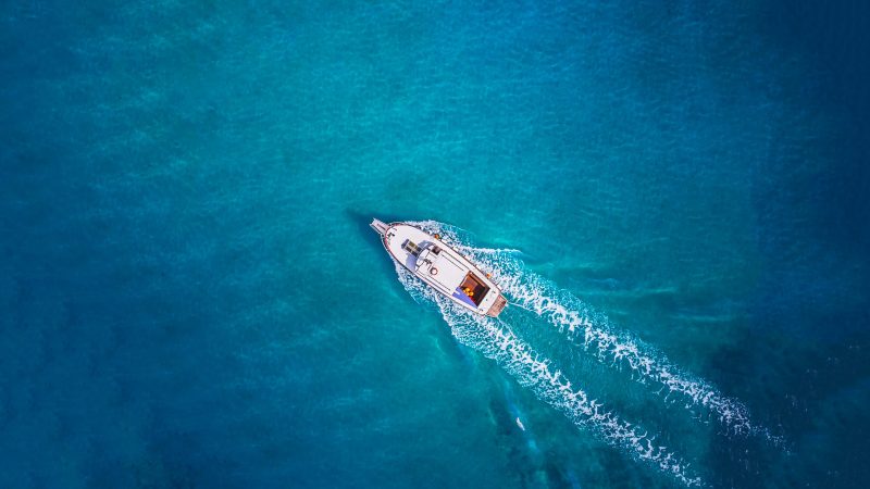 外汇ea分享下载