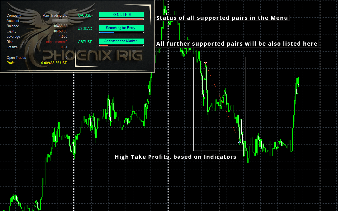 图片[2]-神经网络Phoenix Rig EA-外汇EA资源网