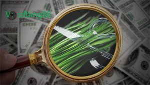 ccr全自动炒币机器人：币圈如何避免成为被收割的韭菜？-外汇EA资源网