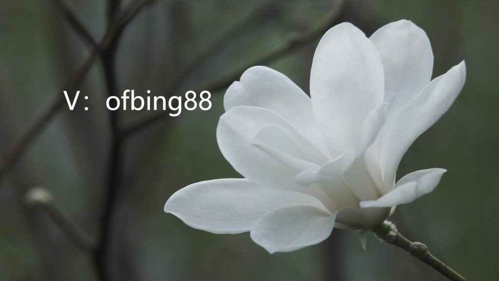 CCR自动量化交易软件：投资是投人生 理财就是理心态-外汇EA资源网