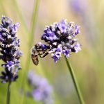 kbx991炒币的头像-外汇EA资源网