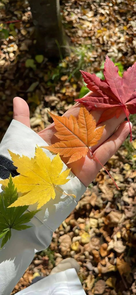 20251208222544765-(2)